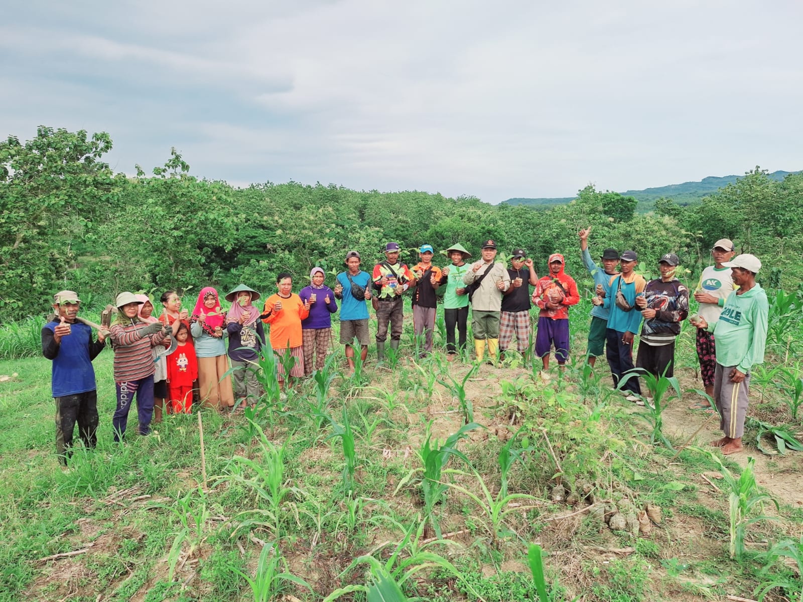 wmremove-transformed15