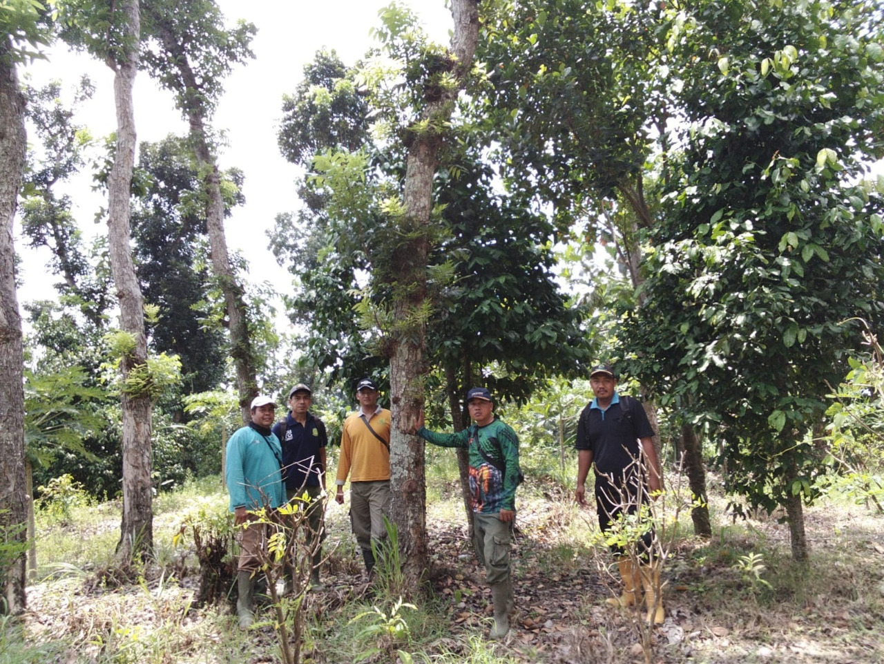 WhatsApp-Image-2025-12-10-at-11.04.141