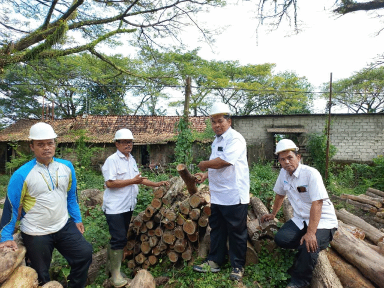 phototune.ai_1777284333